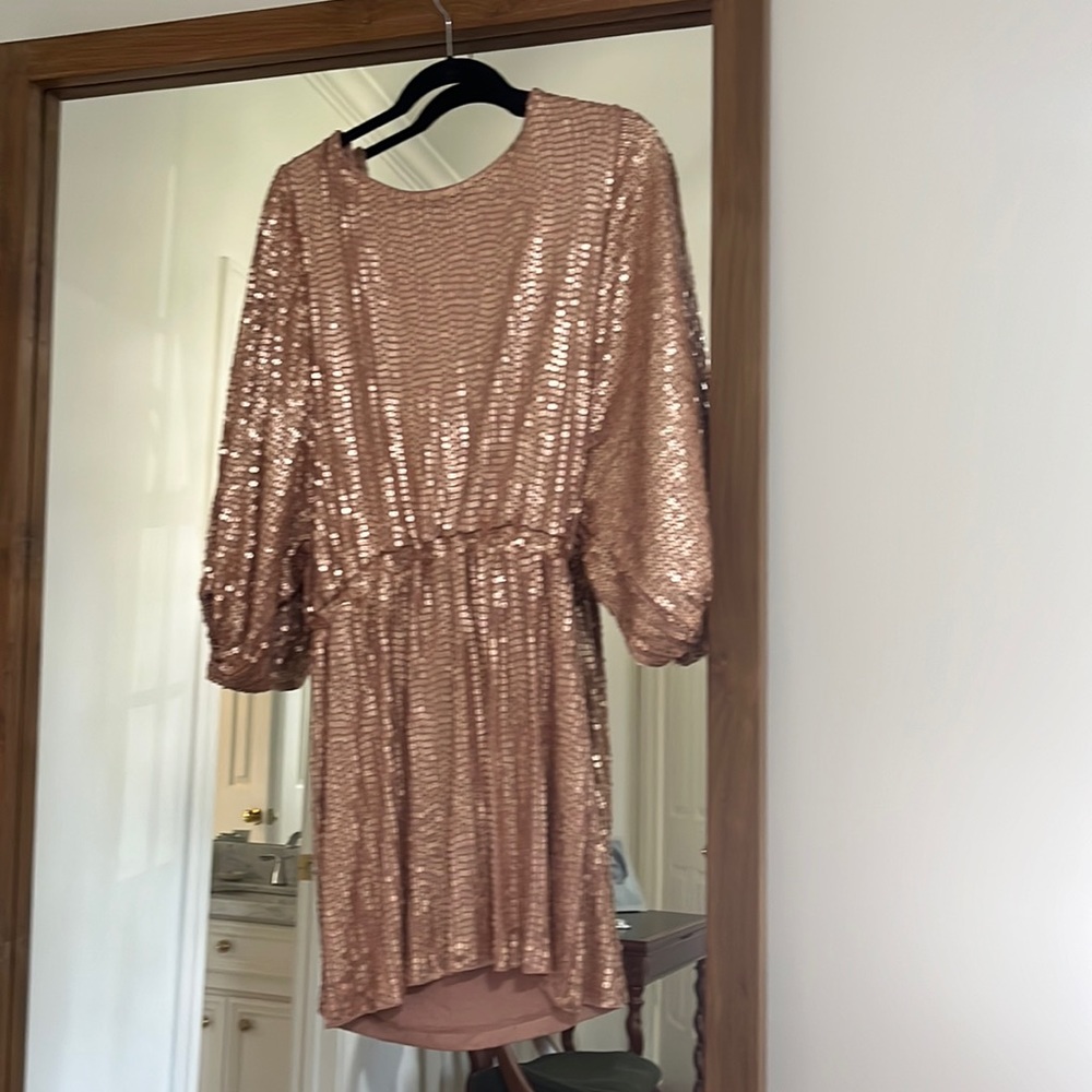 Show Me Your MuMu Sequin Mini Dress